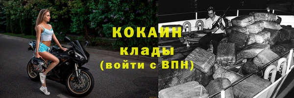 прущие крисы Богданович